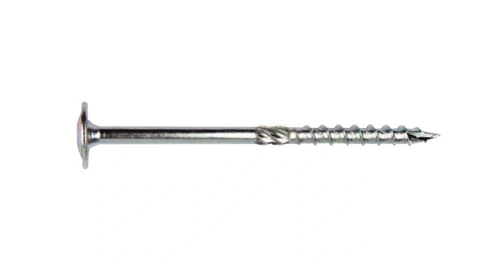 bimex6316660
