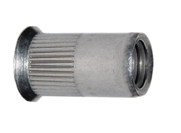 bimex6338813