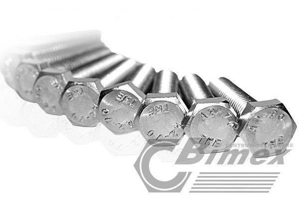 bimex6339214