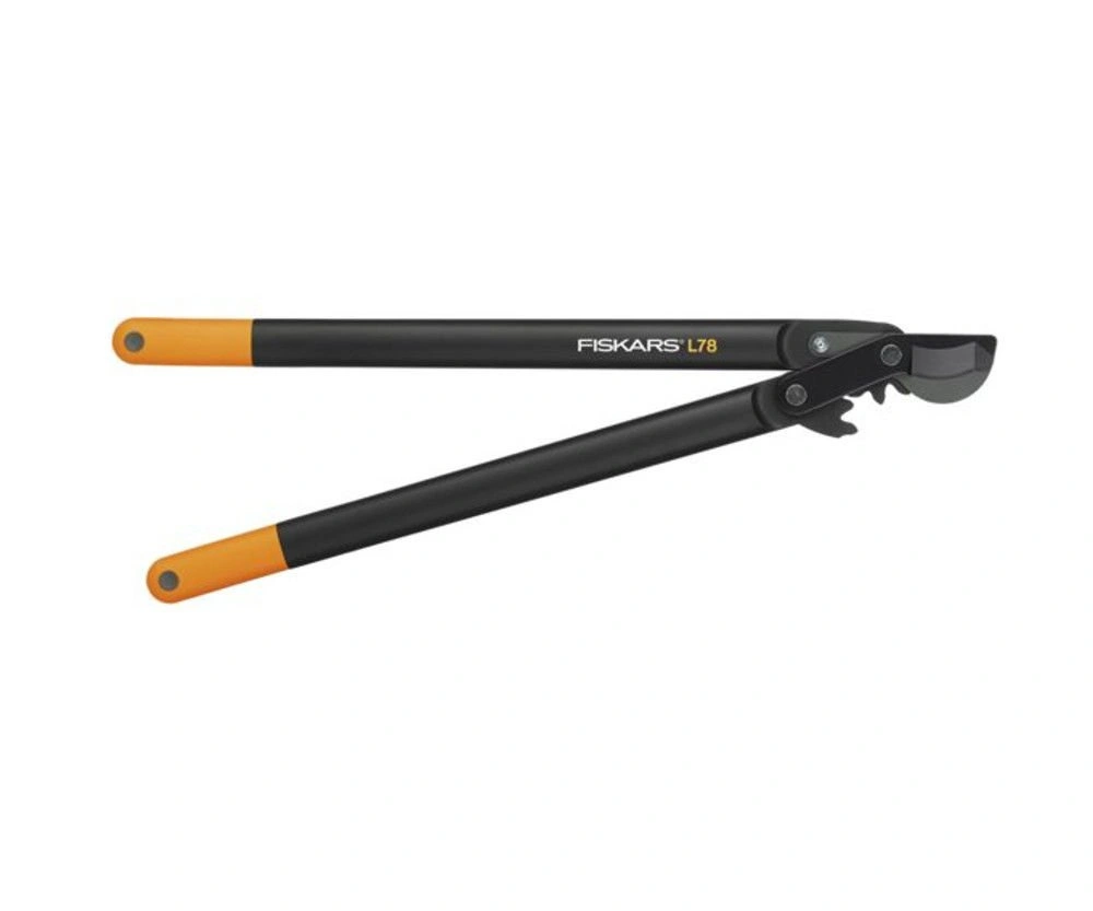 bimex6346004