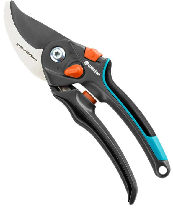 bimex6346192
