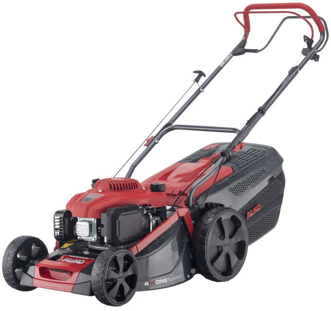 bimex6363830