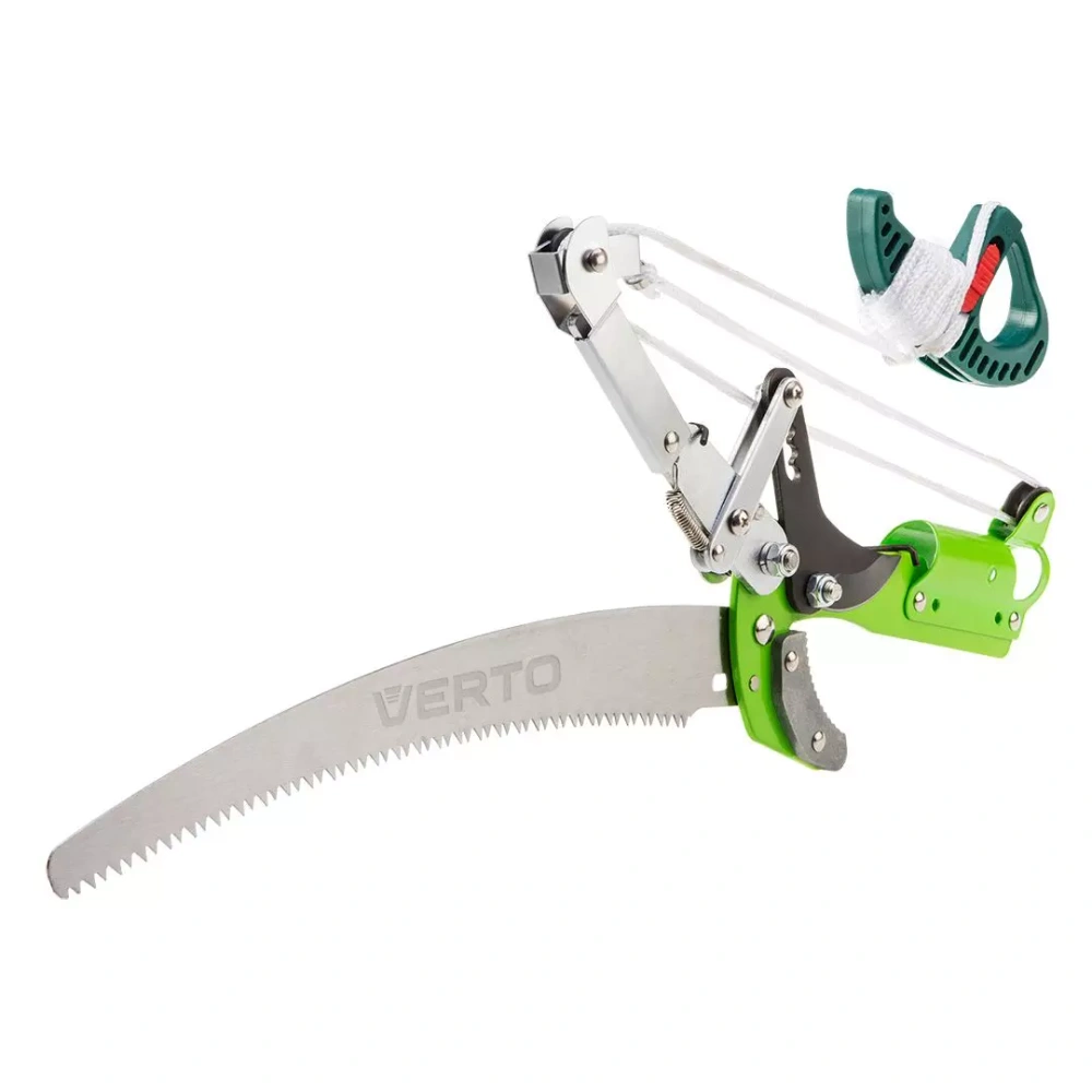 bimex6407540