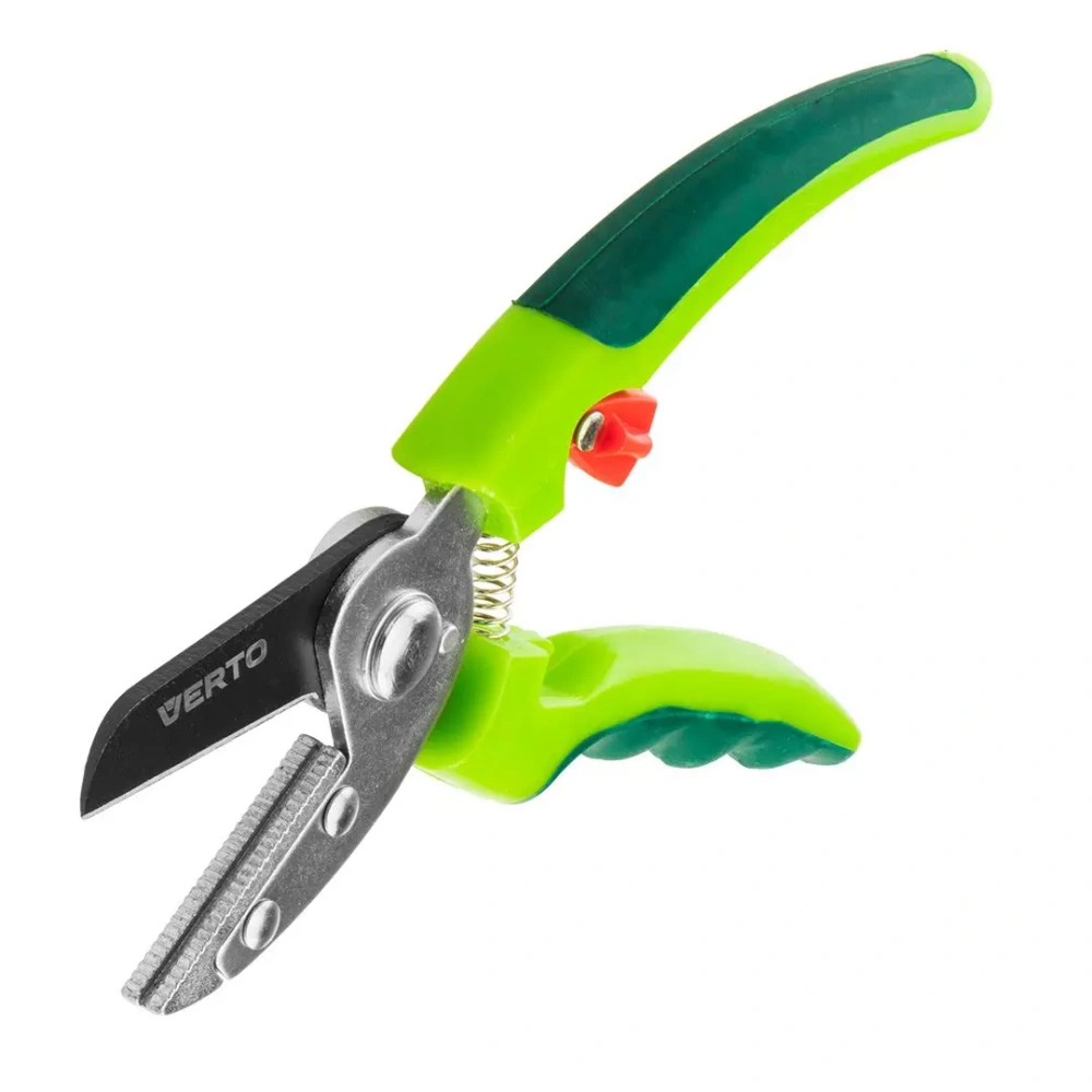 bimex6407557