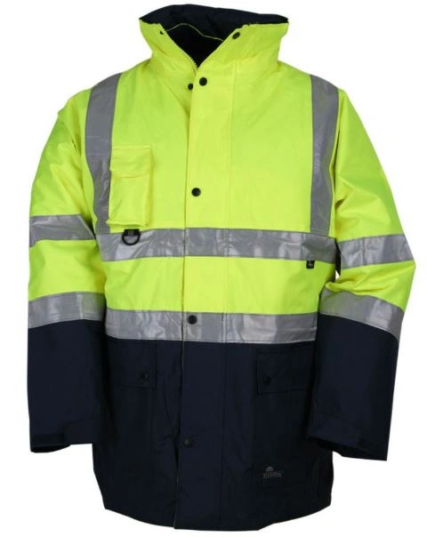bimex6416954