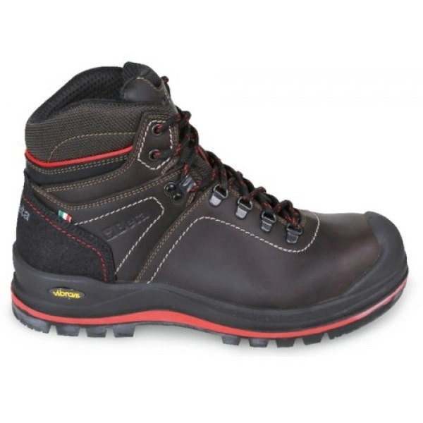 bimex6417083