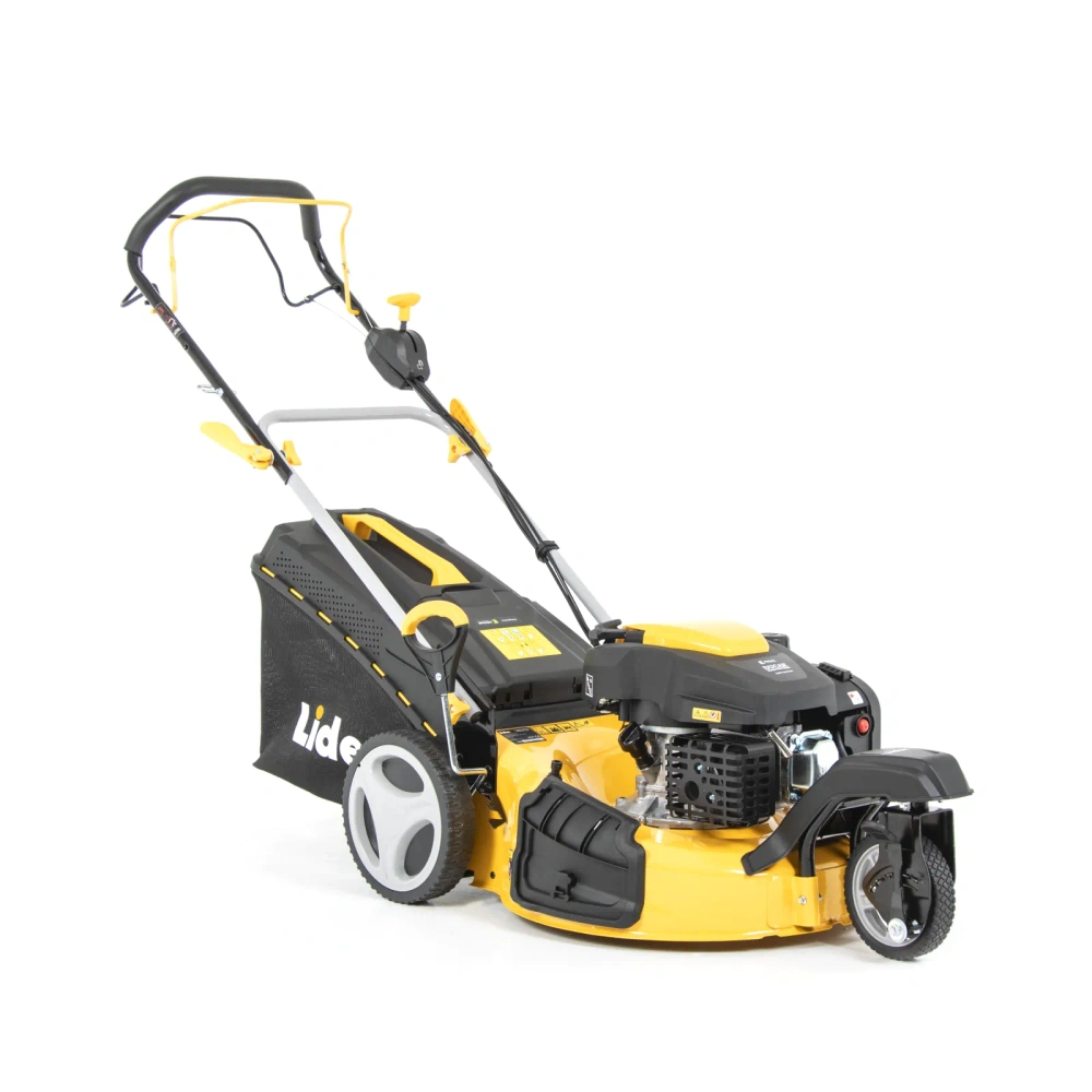 bimex6428946