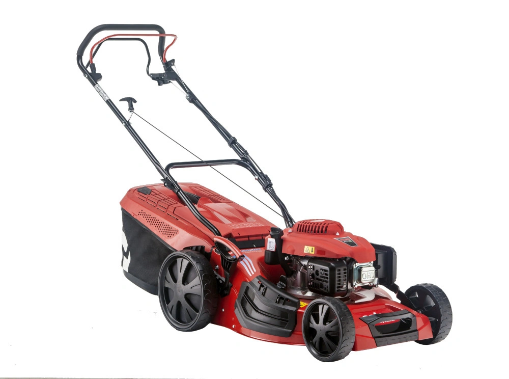 bimex6429230