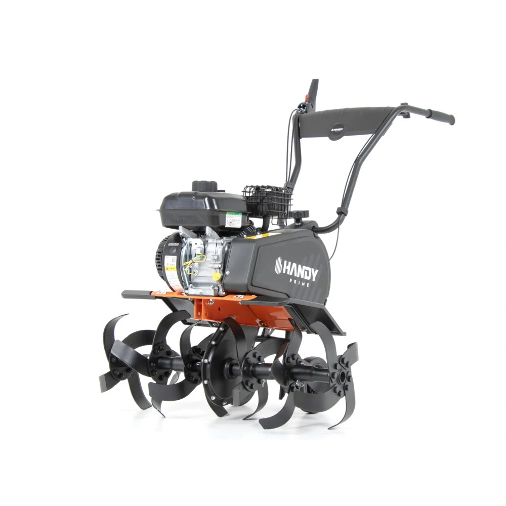 bimex6429529