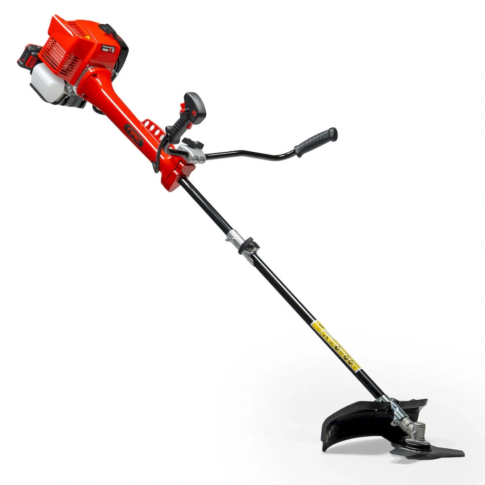 bimex6429681