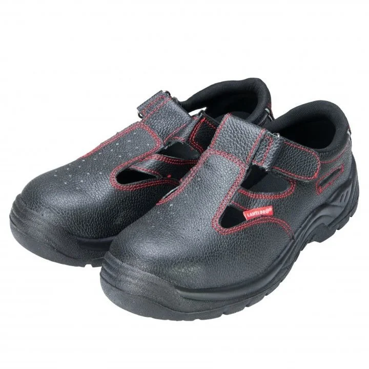 domitech6510170