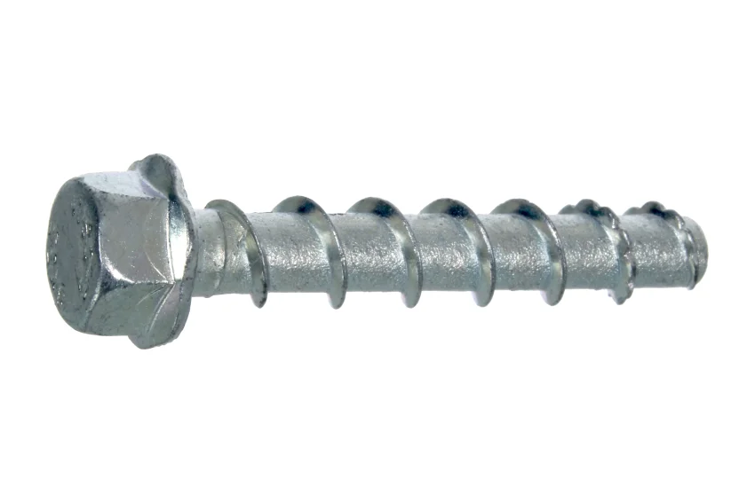 najder813601